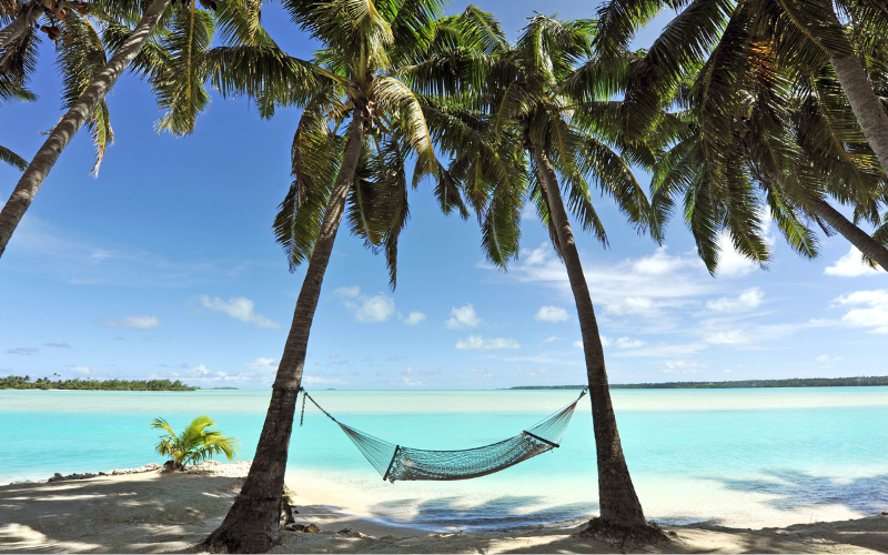 Beste Angebote für Reisen